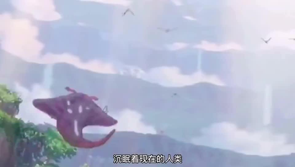 公子是女生