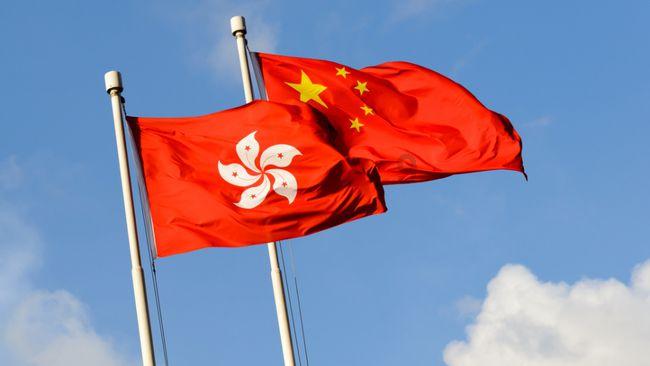 寻找火鸡